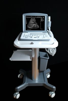 Φορητός πλήρης ψηφιακός διάγνωση υπερήχων scanner OEM